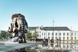 cours de français à "l'éléphant"